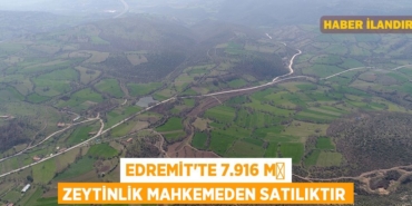 25999269402032530255tasarimli