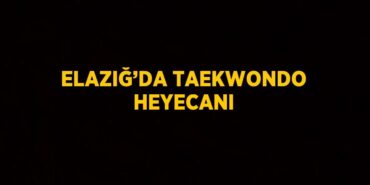 26001205112738427635tasarimli