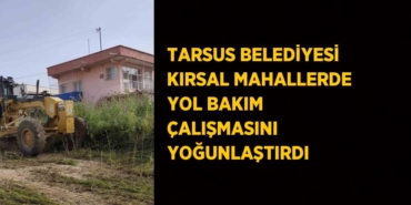 26008256323022425462