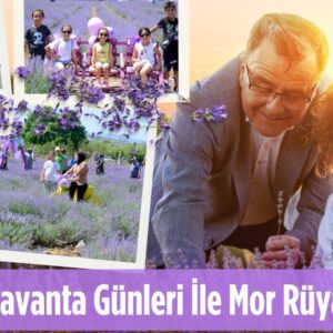 26010301533177526395