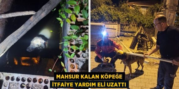 MAHSUR KALAN KÖPEĞE İTFAİYE YARDIM ELİ UZATTI