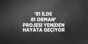 26013208862380323335tasarimli