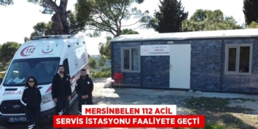 26014280242029624542tasarimli