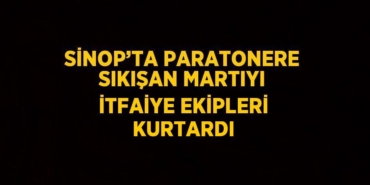 26016279262958624213tasarimli