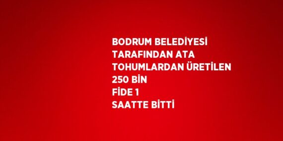 BODRUM BELEDİYESİ TARAFINDAN ATA TOHUMLARDAN ÜRETİLEN 250 BİN FİDE 1 SAATTE BİTTİ