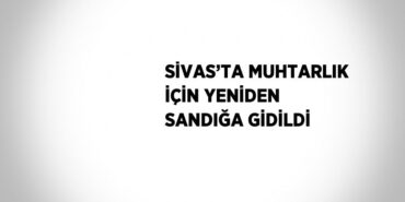 26034299822798120231