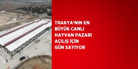TRAKYA’NIN EN BÜYÜK CANLI HAYVAN PAZARI AÇILIŞ İÇİN GÜN SAYIYOR