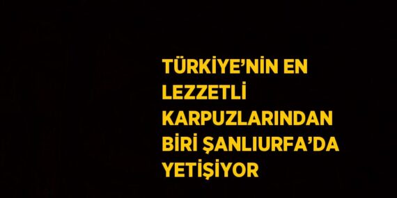 TÜRKİYE’NİN EN LEZZETLİ KARPUZLARINDAN BİRİ ŞANLIURFA’DA YETİŞİYOR