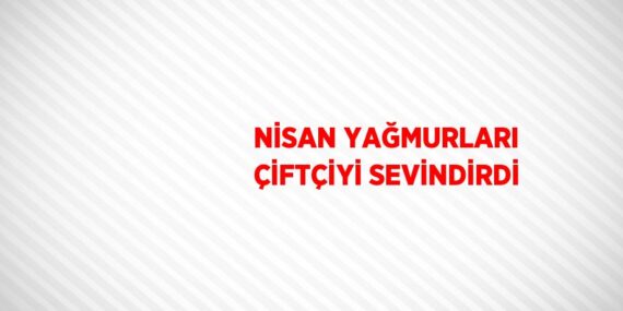 NİSAN YAĞMURLARI ÇİFTÇİYİ SEVİNDİRDİ