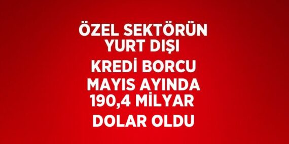 ÖZEL SEKTÖRÜN YURT DIŞI KREDİ BORCU MAYIS AYINDA 190,4 MİLYAR DOLAR OLDU