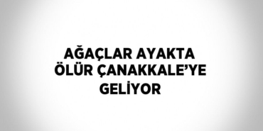 26065205672644226737tasarimli