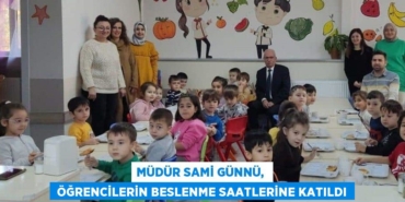 26067207802529526389tasarimli