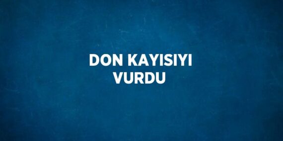 DON KAYISIYI VURDU