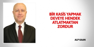 26083235782358026221