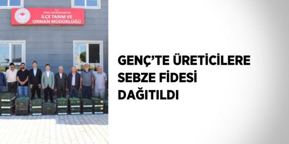 GENÇ’TE ÜRETİCİLERE SEBZE FİDESİ DAĞITILDI