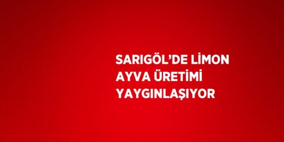 SARIGÖL’DE LİMON AYVA ÜRETİMİ YAYGINLAŞIYOR