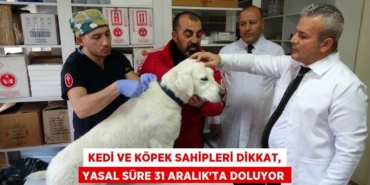 26100284732281726933tasarimli