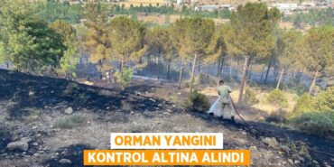 26118252552164826903tasarimli