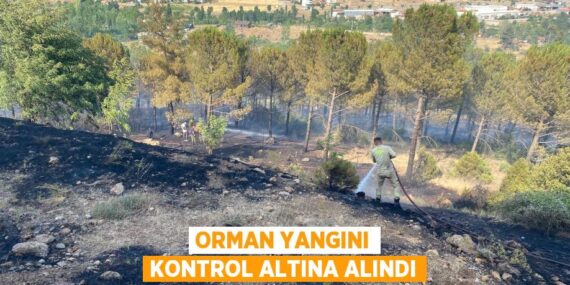 Orman yangını kontrol altına alındı