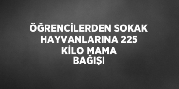 26123246442073523749tasarimli