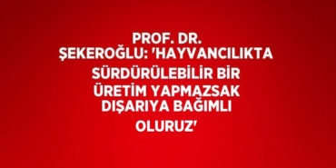 26135264973019825721tasarimli