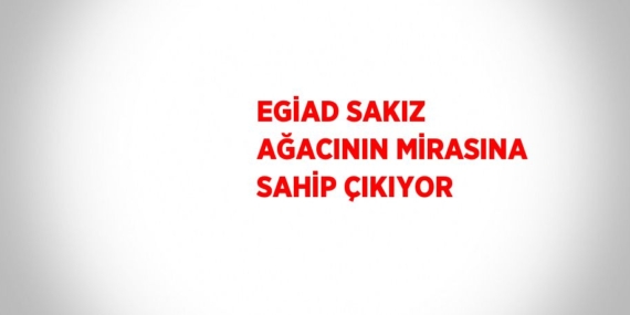 EGİAD SAKIZ AĞACININ MİRASINA SAHİP ÇIKIYOR