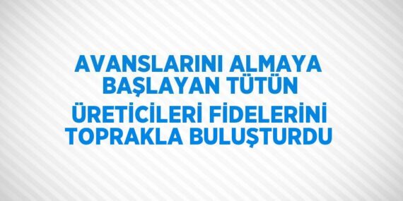 AVANSLARINI ALMAYA BAŞLAYAN TÜTÜN ÜRETİCİLERİ FİDELERİNİ TOPRAKLA BULUŞTURDU