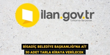 26156313343093523172tasarimli