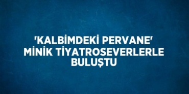 26158261442051025913tasarimli