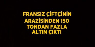 26164259532538028920tasarimli