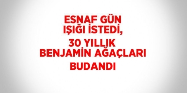 26172223322613125535tasarimli