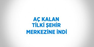 26172234922114025673tasarimli