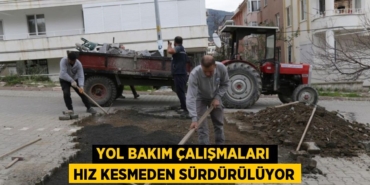 26178217682088025824tasarimli