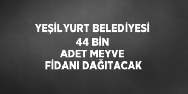 26179303882527225858tasarimli