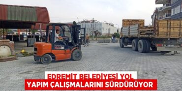 26187241222751527806tasarimli