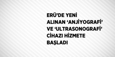 26194288742278828586