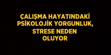 26195317082349028175tasarimli