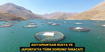 26201315442939624520tasarimli