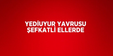 26204208543150625950tasarimli