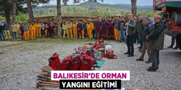 26209311602496929427tasarimli