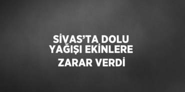 26215240282624023980tasarimli