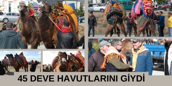 45 DEVE HAVUTLARINI GİYDİ