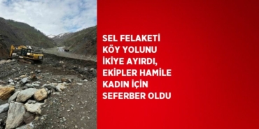 26221283392823228123