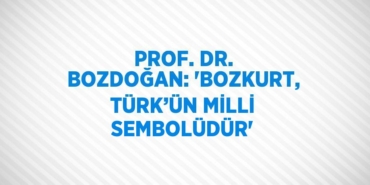 26224259653173629821tasarimli