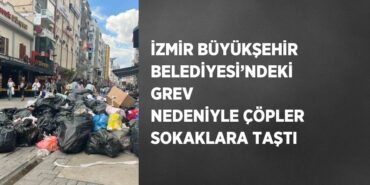 26226256522972420048