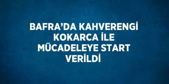 BAFRA’DA KAHVERENGİ KOKARCA İLE MÜCADELEYE START VERİLDİ