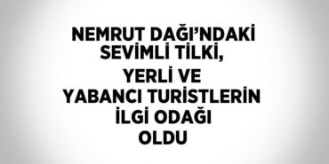 26234312922870229303tasarimli