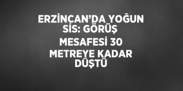 26243284492786824003tasarimli
