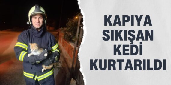 KAPIYA SIKIŞAN KEDİ KURTARILDI