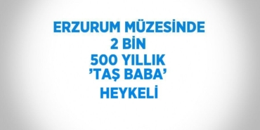 26254305333175031506tasarimli